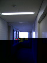 p̘LE]ōł